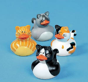 kitty_duckies.jpg